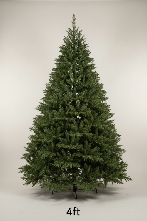 4ft Fraser Fir