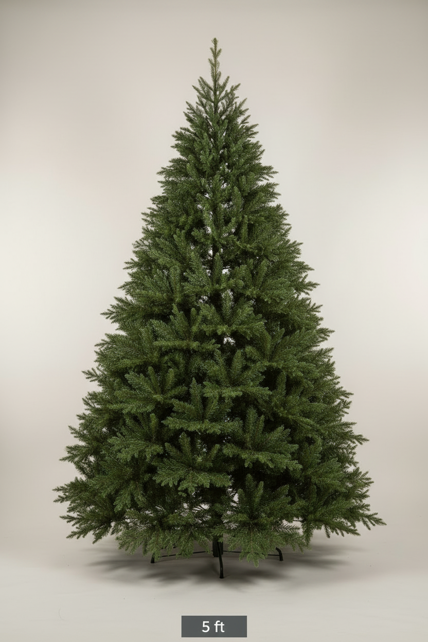 5ft Fraser Fir