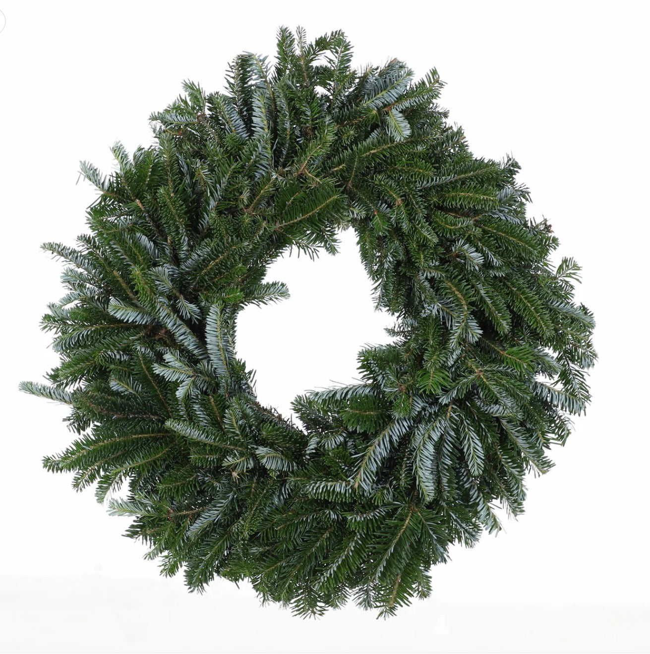 24" Fraser Fir Wreath | NC Grown